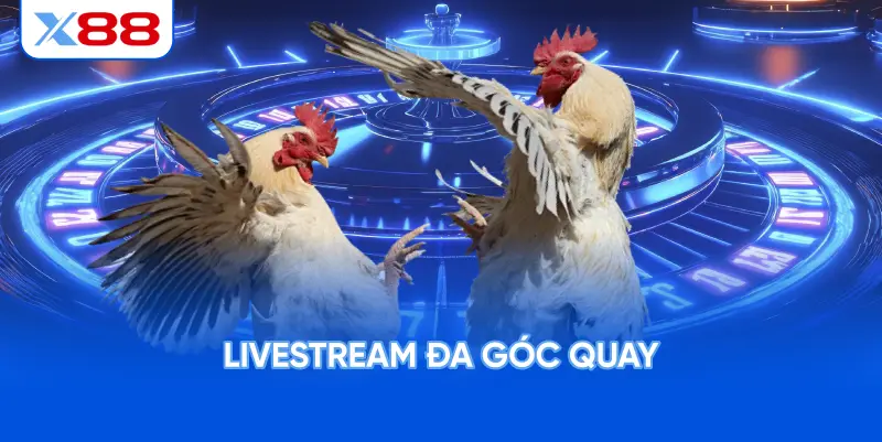 Livestream đa góc quay